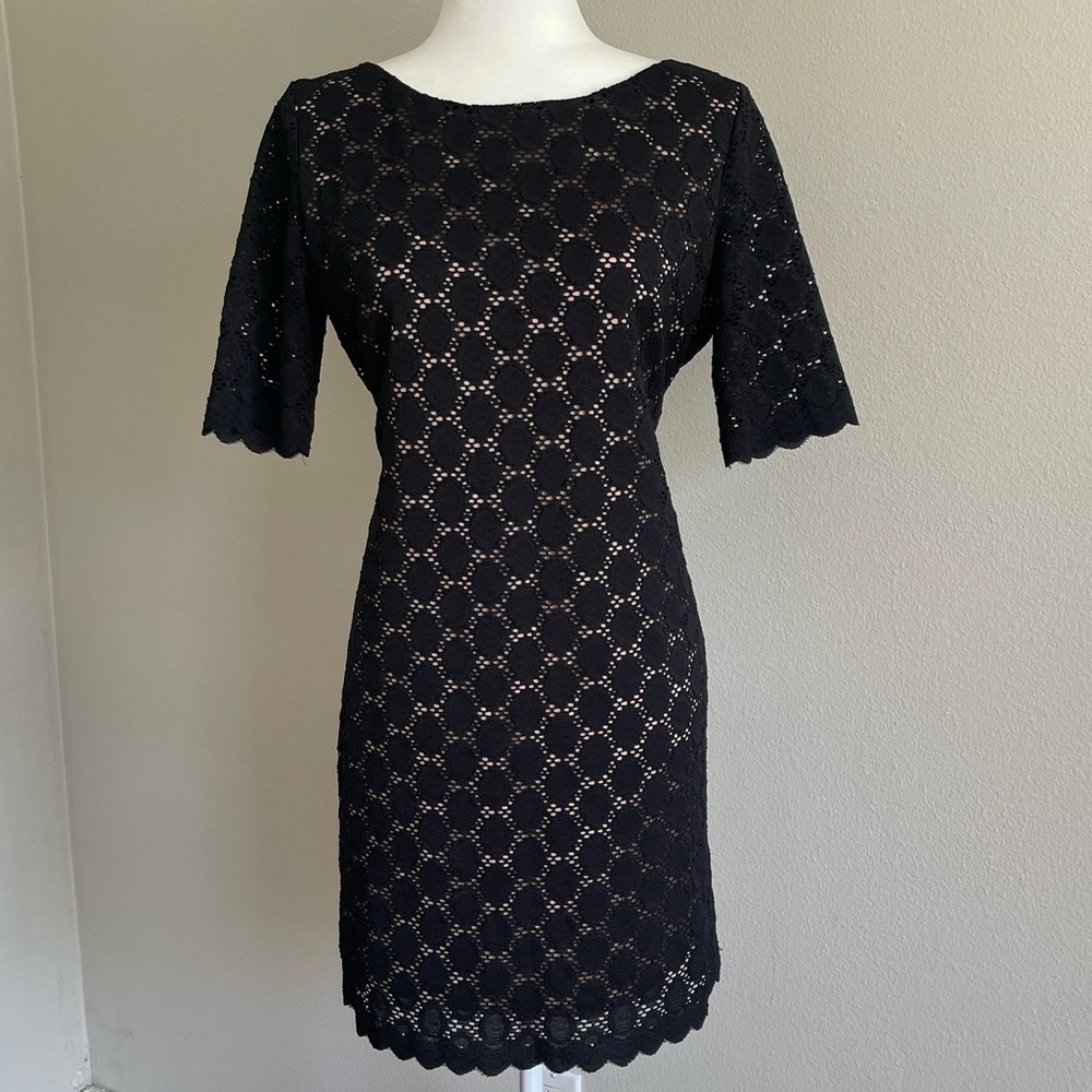 Tiana B. Beige and Black Dress Size 12